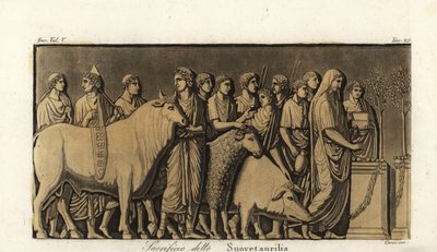 Cerimonia di sacrificio suovetaurilia romana da Corsi Corsi