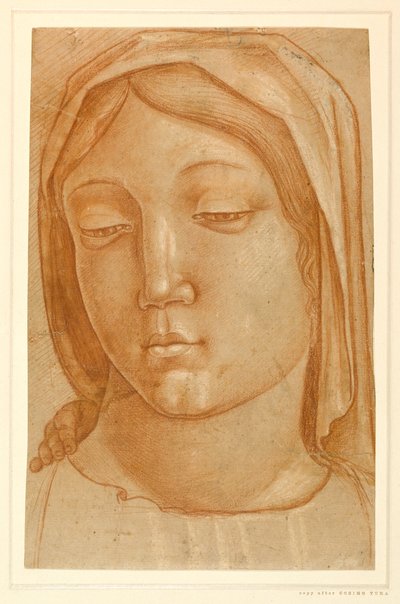 Testa della Vergine, con le dita di una mano di bambino sulla sua spalla destra da Cosimo (after) Tura