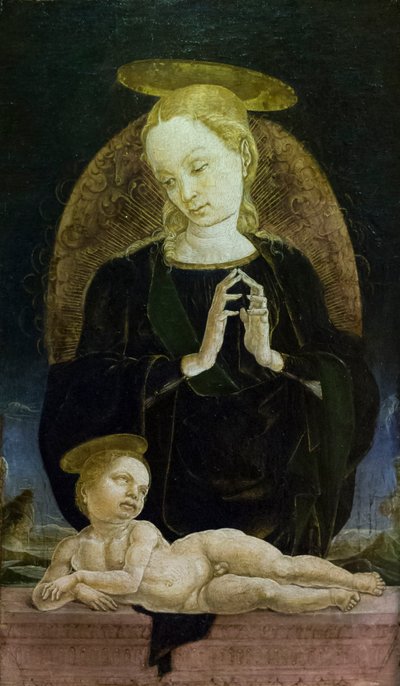 Madonna col Bambino da Cosimo Tura