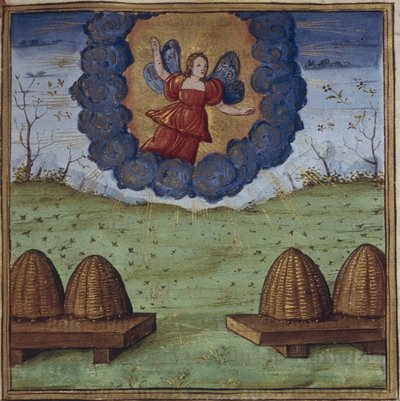 Illustrazione per le Georgiche di Virgilio da Coëtivy Master