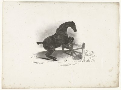 Cavallo che salta una barriera da Courtin