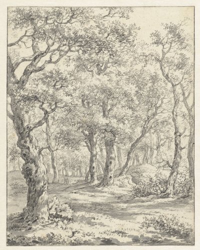 Paesaggio boschivo da Couwenhoven