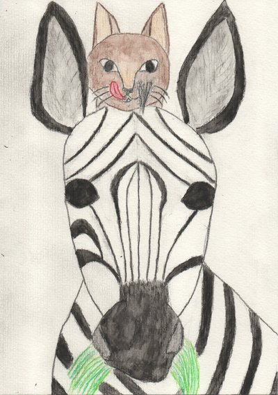 Il Mio Amico la Zebra da Crazy Artist