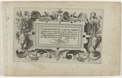 Pagina del titolo e undici stampe di fiori, piante e frutti da Crispijn van de Passe (I) (attributed to)