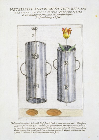 Dispositivo per ripiantare fiori, da 