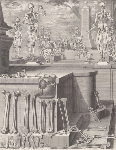 Tavola per l