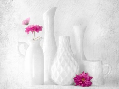 Fiori rosa, vasi bianchi da Cristiano Giani