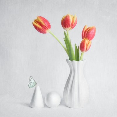 Tulipani primaverili e farfalla da Cristiano Giani