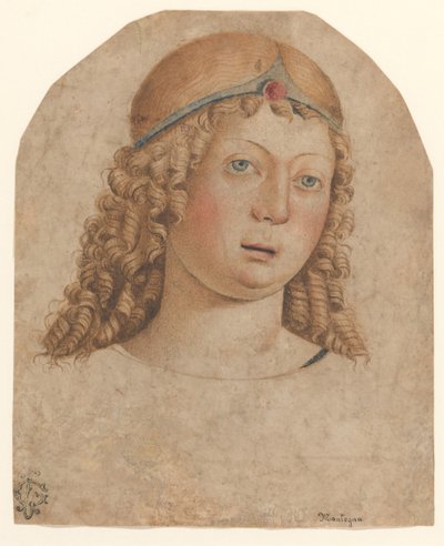 Testa di un Giovane con Diadema, fine XV-inizio XVI secolo da Cristoforo Caselli