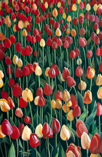 Tulipani da Cruz Jurado Traverso