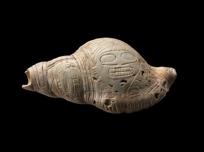 Conchiglia scolpita da Culture Taino