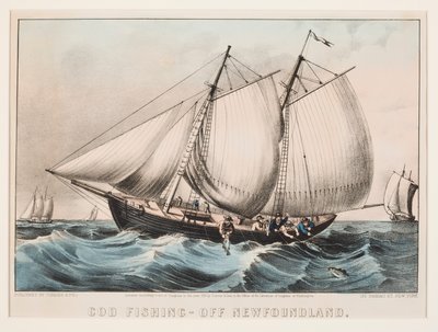 Pesca del merluzzo - Al largo di Terranova da Currier and Ives