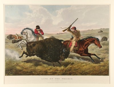 Vita nella prateria: La caccia al bufalo da Currier and Ives