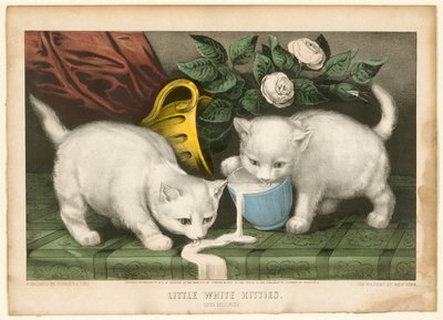 Piccoli gattini bianchi in marachella da Currier and Ives