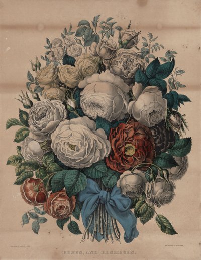 Rose e boccioli di rosa da Currier and Ives