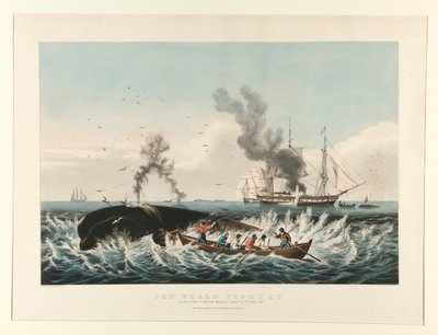 La pesca della balena: Attacco a un capodoglio da Currier and Ives