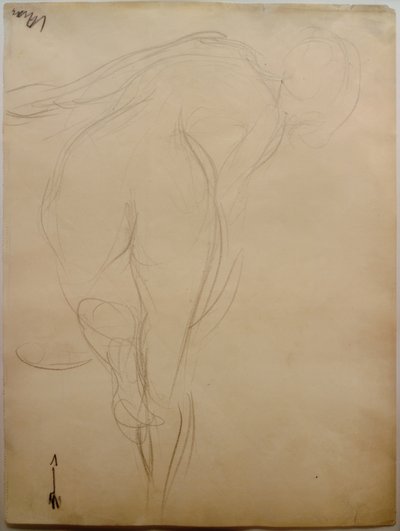 Nudo femminile di schiena da Curt Herrmann