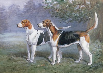 Una cagna e un cane in un paesaggio da Cuthbert Bradley