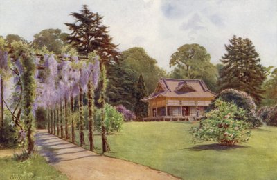 La Casa Giapponese e Pergola di Glicine, Bagshot Park da Cyril Ward