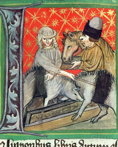 Allevamento di maiali e cavalli, da Opus Ruralium Commodorum di Pietro de Crescenzi da Czech School