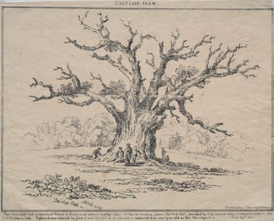 Fairlop Oak da D. H. Redman