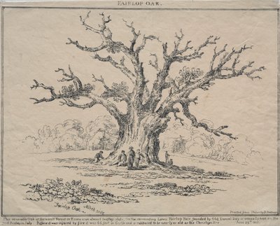 Fairlop Oak, 1811 da D. H. Redman