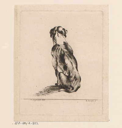 Cane seduto visto di schiena da D. Merrem