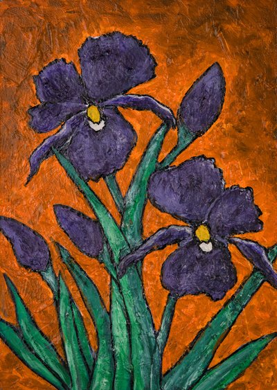 Iris viola dai colori vivaci da Dale Hefer & Family