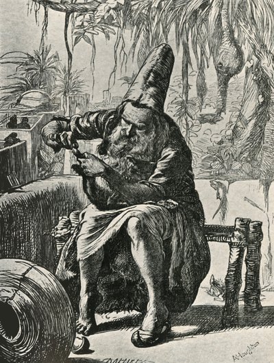 Il derviscio strappa i peli dalla coda del gatto, 1906 da Dalziel Brothers