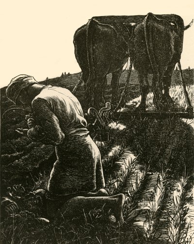 Il Tesoro Nascosto, 1864, 1928 da Dalziel Brothers
