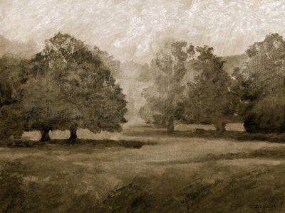 Parco del castello da Dan Hobday