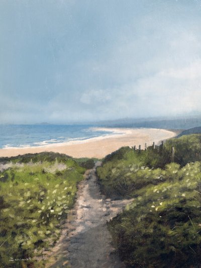 Spiaggia di Gwithian da Dan Hobday