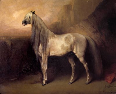 Baba Ali, cavallo arabo del Generale Henri d