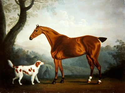 Cacciatore di baia e spaniel in un paesaggio boschivo da Daniel Clowes