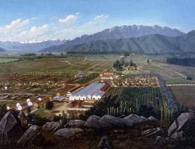 Il vigneto di Erranzuriz-Panquehue, Cile, 1896 da Daniel Escobar