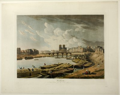Parigi, Notre Dame ripresa da L