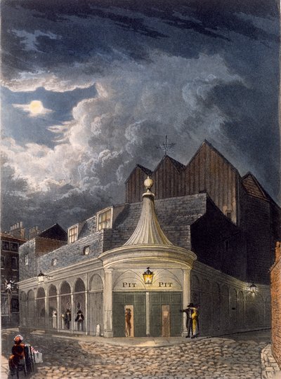 Il teatro olimpico da Daniel Havell