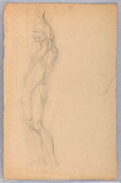 Disegno, studio anatomico di maschio, 1850 ca. da Daniel Huntington