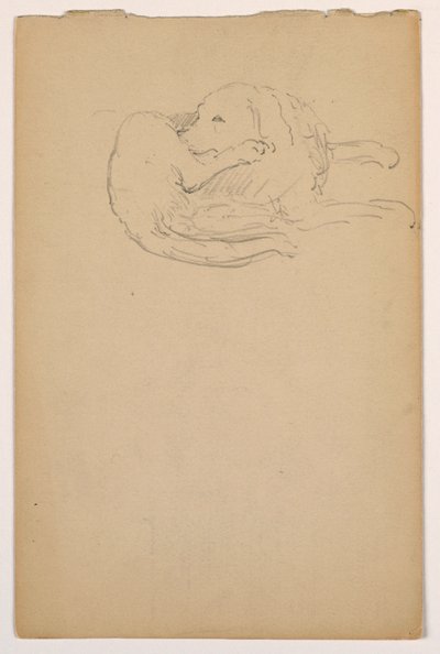 Disegno, Dash (un Setter), 1862 ca. da Daniel Huntington