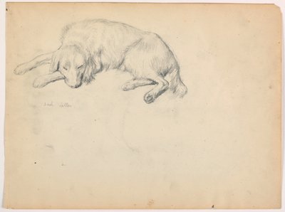 Disegno, Dash (un Setter), 1862 ca. da Daniel Huntington