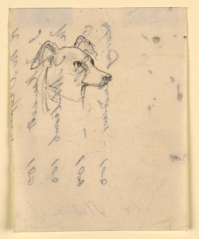 Disegno, testa di cane, probabilmente Milo (un Pointer), 1862 ca. da Daniel Huntington