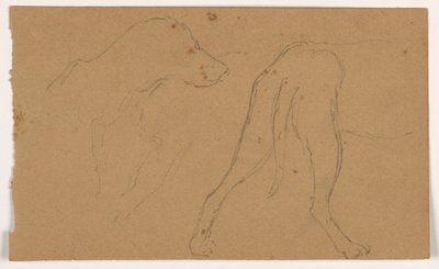 Disegno, Milo (un Pointer), testa e corpo, 1862 ca. da Daniel Huntington