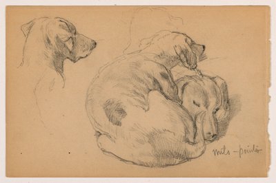 Disegno, Milo (un pointer) tre studi, Milo (un pointer) due studi, 1862 ca. da Daniel Huntington