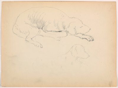 Disegno, Milo (un pointer), due studi, 1862 ca. da Daniel Huntington