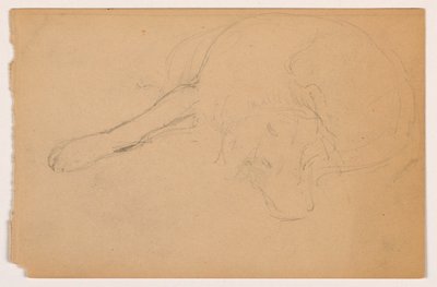 Disegno, Miol (un pointer), 1862 ca. da Daniel Huntington