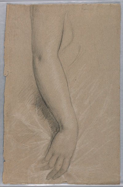 Disegno della signora Rutherford B Hayes, 1880 da Daniel Huntington
