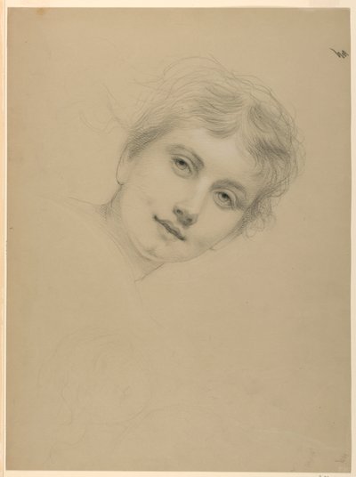 Disegno, Studio per l