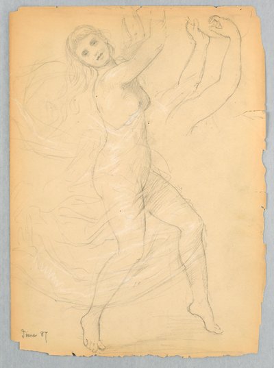Disegno, Studio per l