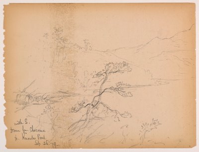 Viaggio da Chocorua a Knowles Pond da Daniel Huntington