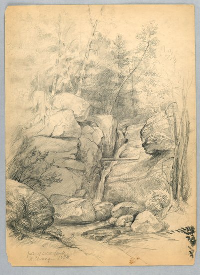 Cascate del ruscello degli artisti, North Conway, New Hampshire da Daniel Huntington